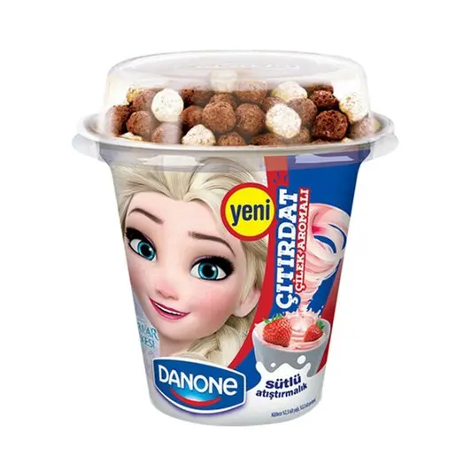 DANONE ÇITIRDAT 94 GR