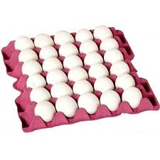 BERRA YUMURTA ( L ) BOY 30'LU