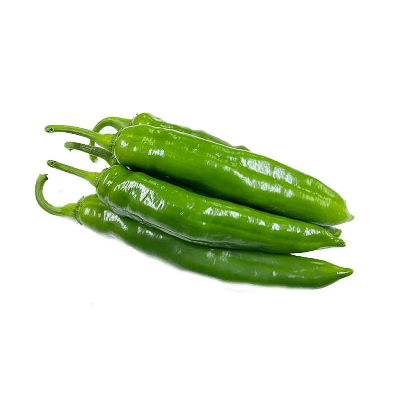 BİBER SAMANDAĞI KG