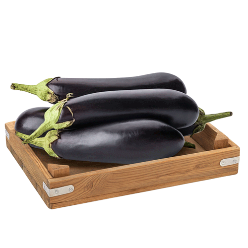 PATLICAN KEBAPLIK KG